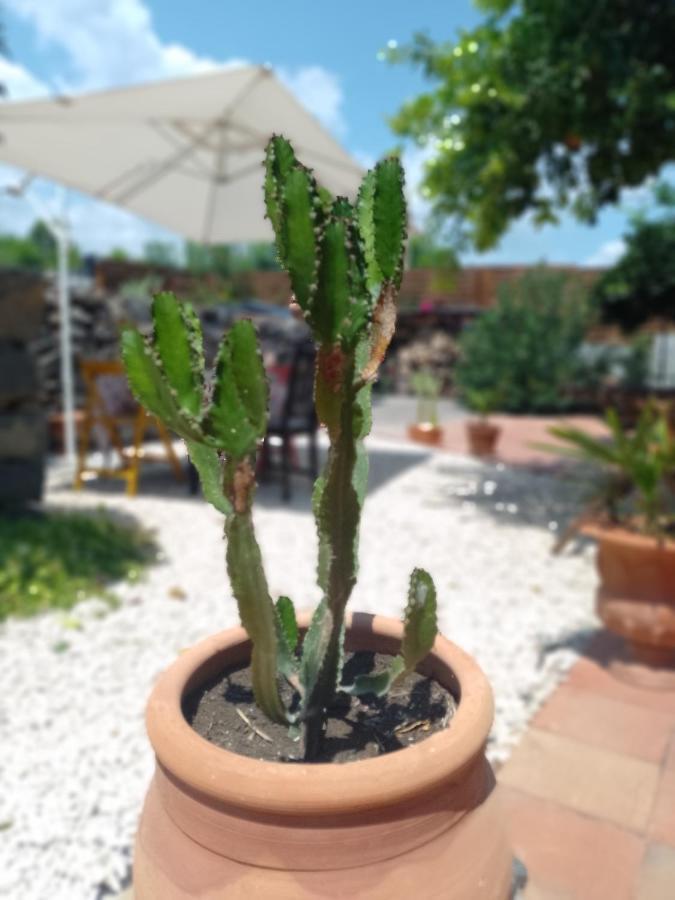 ריפוסטו B&B Casanera מראה חיצוני תמונה